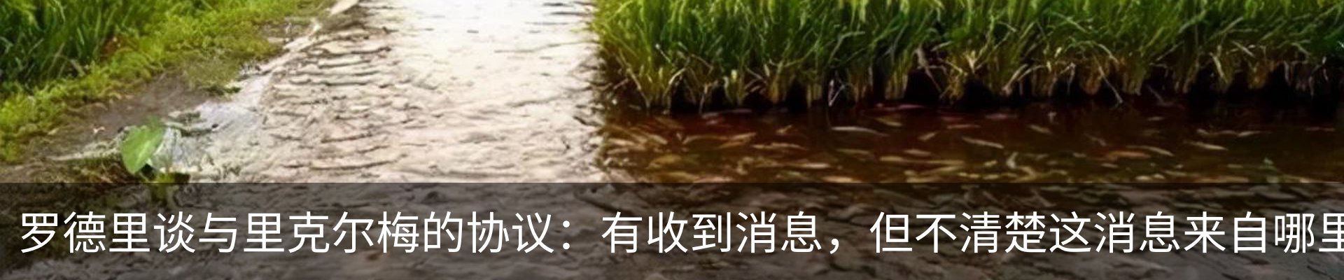 资讯中心